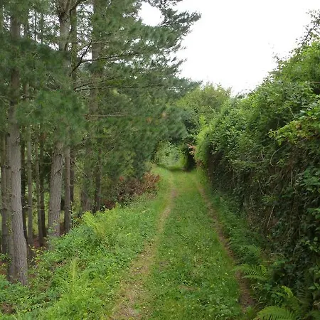Viviendas Rurales Aldea De Dosamantes *