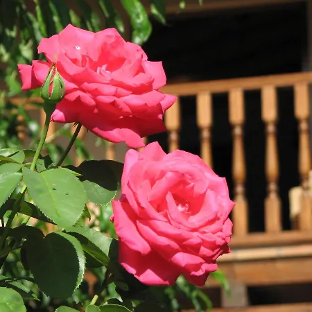 乡村民宿 Viviendas Rurales Aldea De Dosamantes *