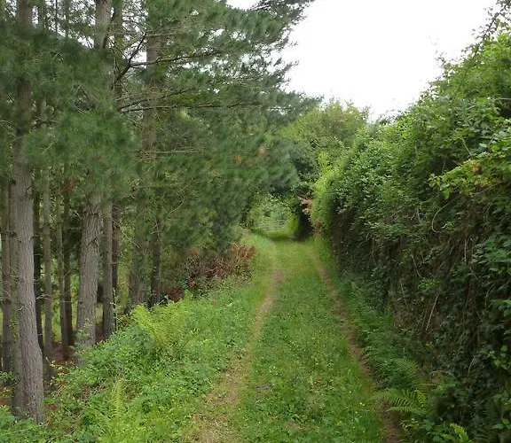 Viviendas Rurales Aldea De Dosamantes *