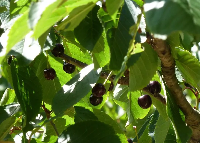 Viviendas Rurales Aldea De Dosamantes