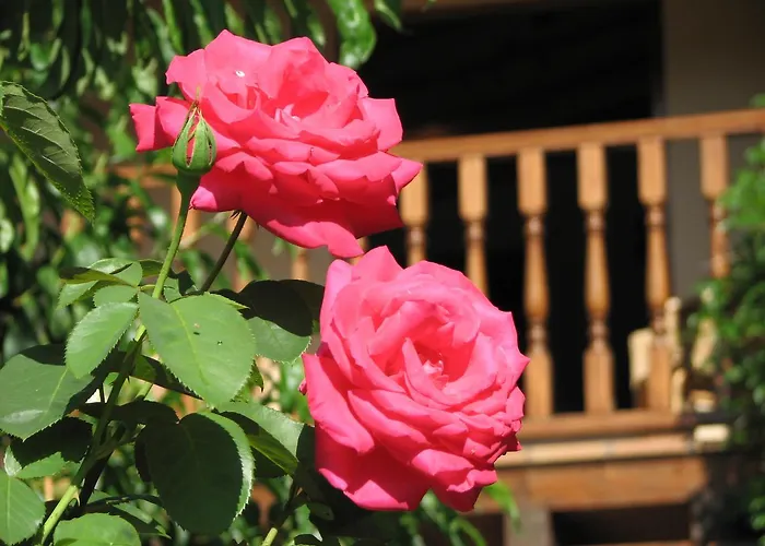 Landsted Viviendas Rurales Aldea De Dosamantes *